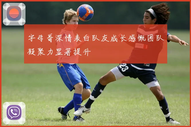 字母哥深情表白队友成长感慨团队凝聚力显著提升