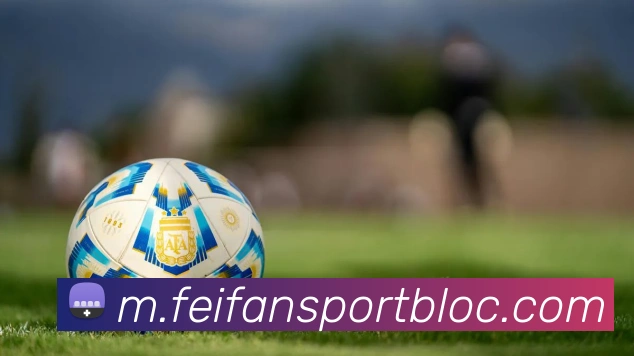 非凡体育APP 封面图